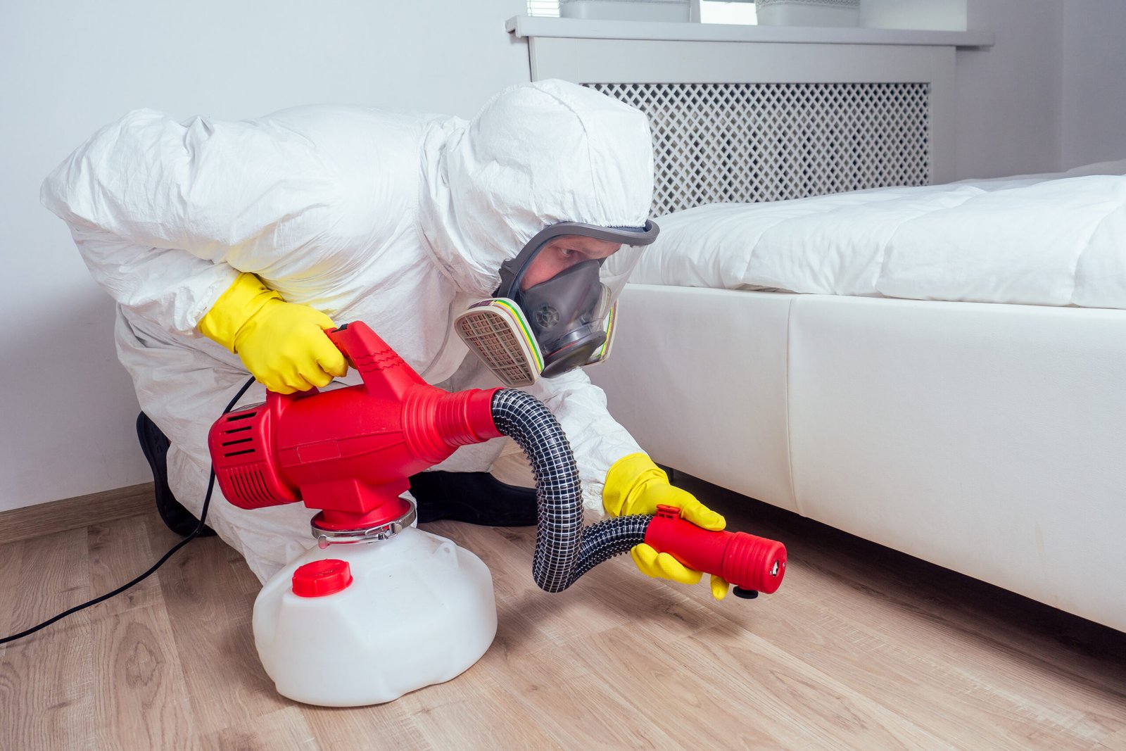 Désinsectisation et lutte anti-nuisibles